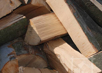 Suche drewno kominkowe oraz opałowe