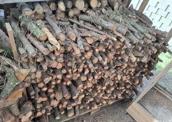 Cięcie drewna wycinka drzew rąbanie Cięcie drewna wycinka drzew rąbanie