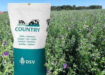 DSV Lucerna PowerMix COUNTRY 2060 Mieszanka lucern