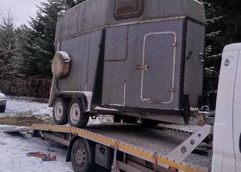 Przyczepa do przewozu koni