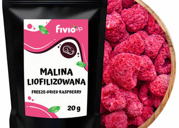 fivio Malina liofilizowana 20g fivio Up
