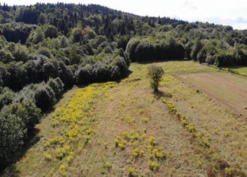 9 908 m² | zabudowa mieszkaniowa jednorodzinna | Skawinki