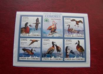 Komory 2009 MNH Fauna Kaczki