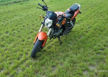 Motocykl Zipp Nitro 250 2010r.