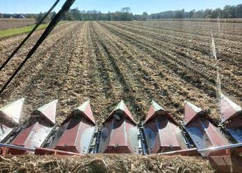 Przystawka do kukurydzy Olimac Drago 2 str  Capello geringhoff GT Claas JD