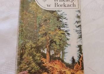 Książka "WAKACJE W BORKACH" Jadwiga Korczakowska, powieść przygodowa