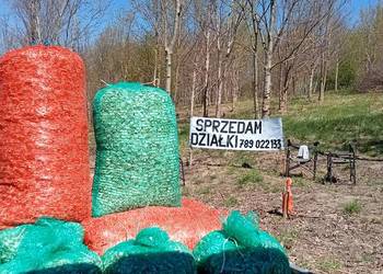 Zrębka drewno LIŚCIASTE mix JESION i KLON, możliwy dowóz Olsztyn i okolice