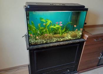 Akwarium 126L z komodą i rybkami plus akcesoria