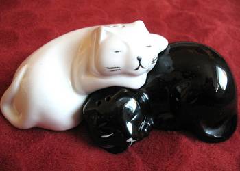 Sól i pieprz - koty - 5 x 11 x 6 cm Solniczka i pieprzniczka