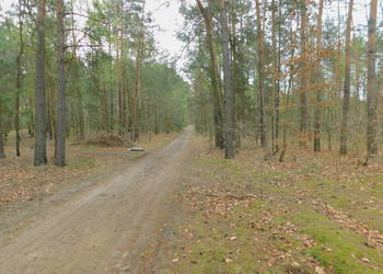 Syndyk sprzeda - Radom, ul. Andersena