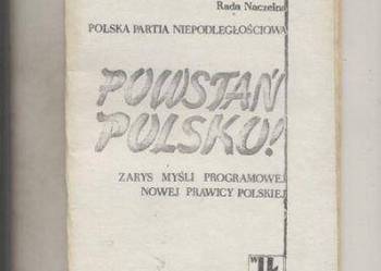 Powstań Polsko!  Zarys myśli programowej  Nowej Prawicy Pols