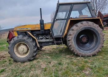 Ursus 1224