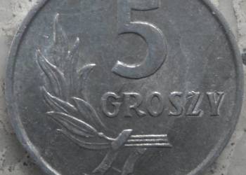 POLSKA-5 GROSZY-1962 r (b.z.)-AL-