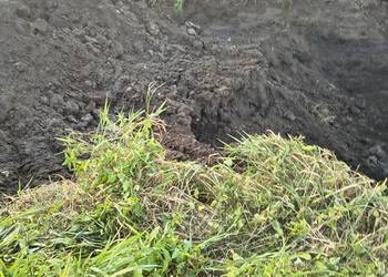 czarnoziem ziemia torfowa 300ton w zależności od potrzeb mogą być mniejsze