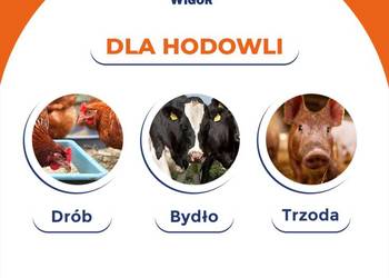 Dezosan Wigor DOSTAWA GRATIS 1000 kg do suchej dezynfekcji ściółki