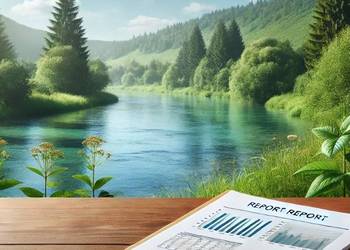 Pomoc wykonaniu raportu DNSH z ochrony środowiska, cena