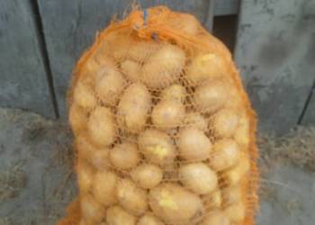 Ziemniaki