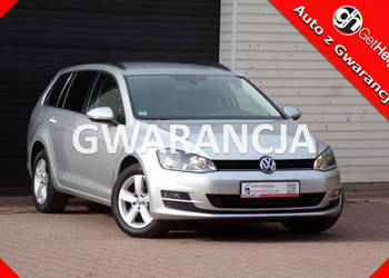 Volkswagen Golf Navigacja /Klimatronic /1,4 /122KM /2014 VII (2012-)