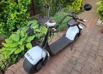 Hulajnoga Elektryczna Duża Bili Coco Idealna + Gratisy