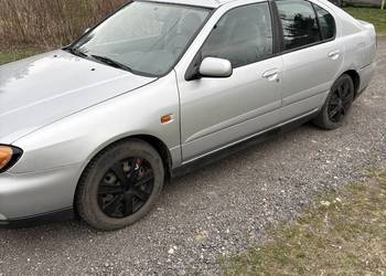 Nissan Primera 2001 r