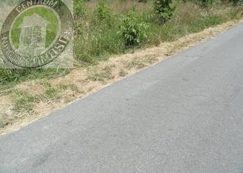 Grunt Dąbrowa 1000m2