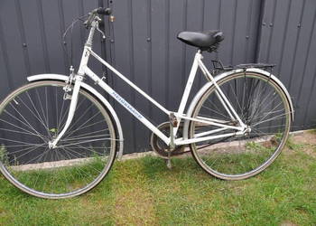 ROWER HOLENDERSKI