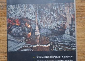 Jaskinie Polska, Czechy, Słowacja