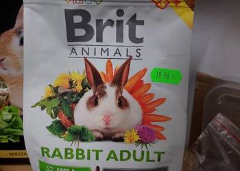 Karma dla królika Brit