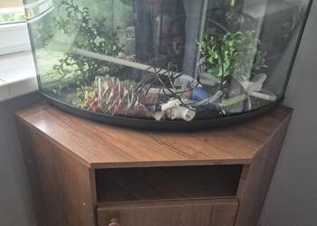 Akwarium rogowe 80l