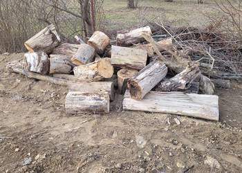 DREWNO SUCHE LIŚCIASTE - OSIKA 12 mp tylko po  95 zł / mp