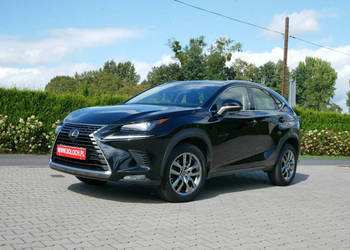 Lexus NX 2.0 238KM [Eu6] Elegance -Automat -Salon PL -1 Właściciel -Serwis…
