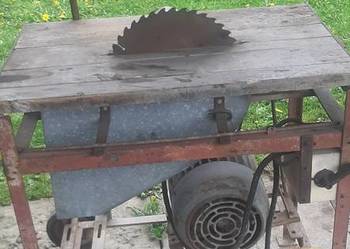 Cyrkularka krajzega