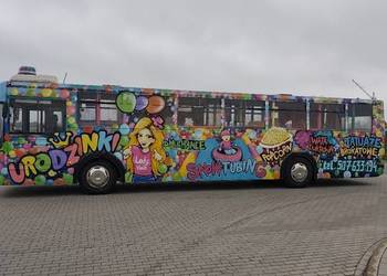 Animator, sala, mobilny plac zabaw ze zjeżdżalnią i piłeczkami