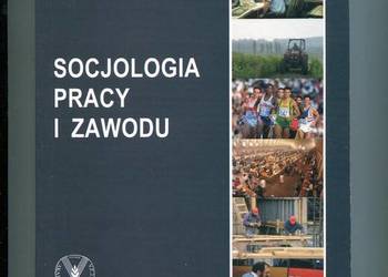 Socjologia pracy i zawodu - Jerzy Stępień