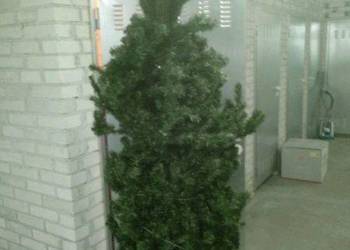 Choinka sztuczna.Świerk kaukaski.220 cm.