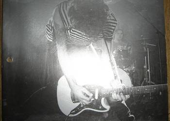 D'Addario 2015 catalog - katalog