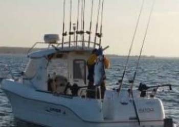 Sprzedam Kuter z kajutom Avor 215