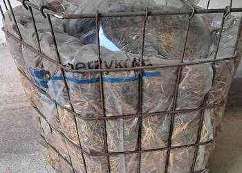 Butla do wina ca 50l