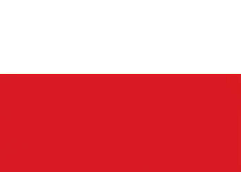 Red 1 wymiar 32,7 x 59,3; Tubądzin, seria Colour, płytki, kafelki, flizy