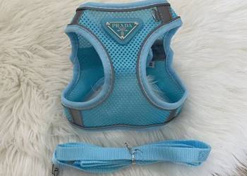 Nowe szelki bezuciskowe + smycz dla psa 3 kg Prada