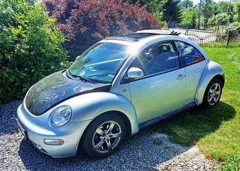 Vw New Beetle  GARBUS .Panorama   dach
