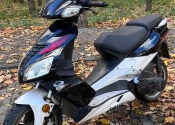 Skuter Tauris 50cc 2t Sprawny Skuter Tauris 50cc 2t Sprawny