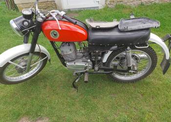 Wsk 175