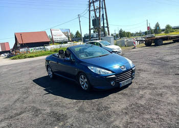 Peugeot 307 CC Peugeot 307CC 2.0 05r