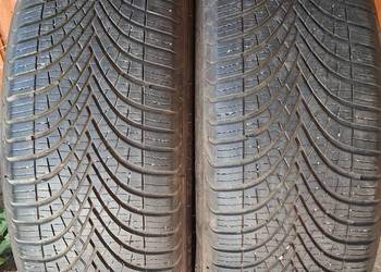 Opony całoroczne Dębica 205/55 R16, para