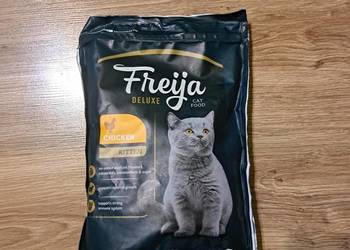 Karma sucha dla kota