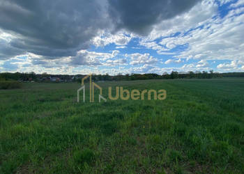 Działka 1567m2 w Rogowie 17 km od Stargardu
