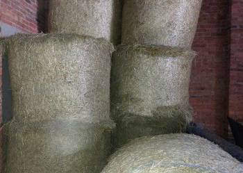 Siano i sianokiszonka