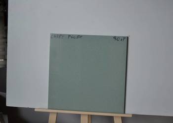 gres polerowany zielony 40x40 carey