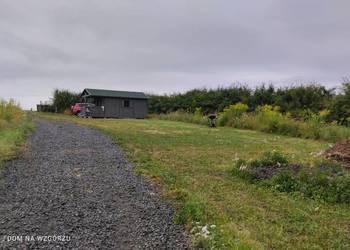 Działka budowlana z lasem